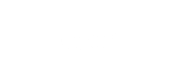 exterior car detailing
